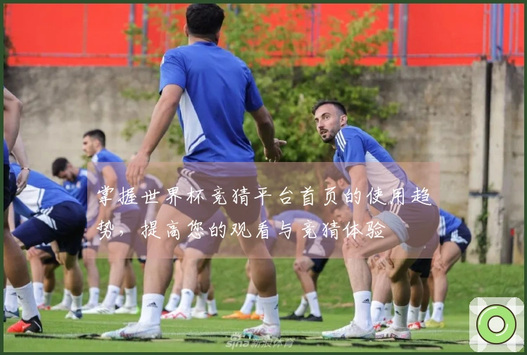 掌握世界杯竞猜平台首页的使用趋势，提高您的观看与竞猜体验