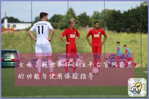 全面了解世界杯投注平台官网首页的功能与使用体验指导