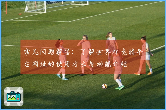 常见问题解答：了解世界杯竞猜平台网址的使用方法与功能介绍