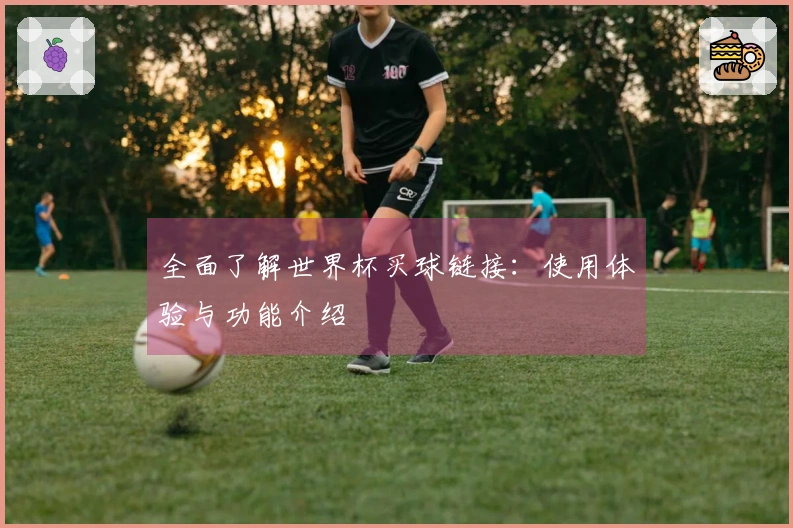 全面了解世界杯买球链接：使用体验与功能介绍