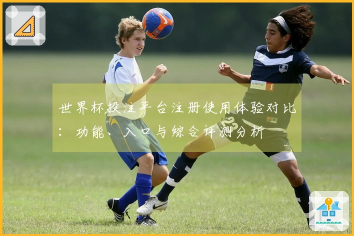 世界杯投注平台注册使用体验对比：功能、入口与综合评测分析