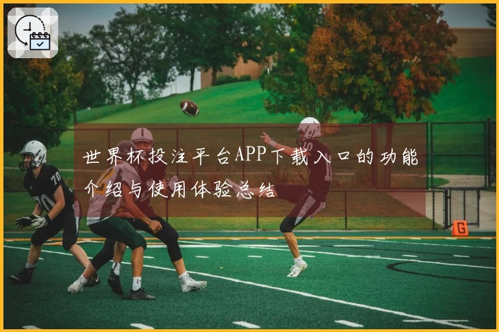 世界杯投注平台APP下载入口的功能介绍与使用体验总结