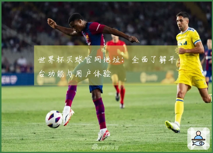 世界杯买球官网地址：全面了解平台功能与用户体验